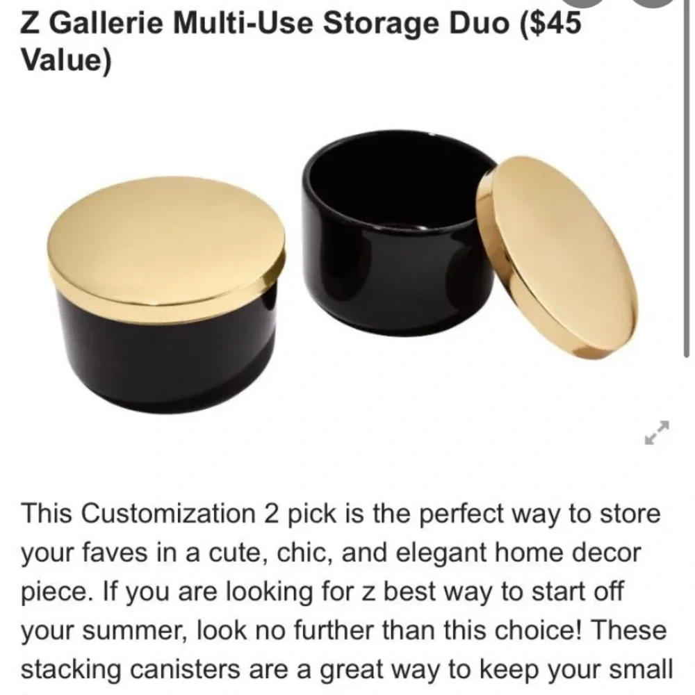 Z Gallerie storage duo ceramic canisters - brand new